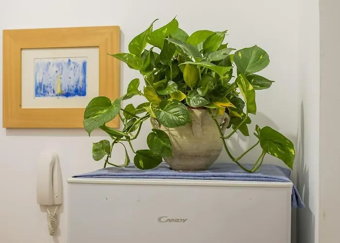 Apartamento de 1 Dormitorio